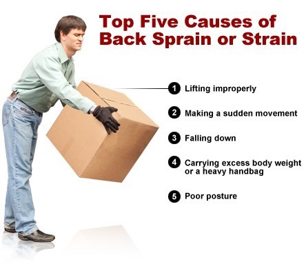 Lift-Free Human Transfers: A Modern Approach to Back-Safe Caregiving